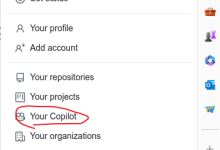 GitHub Copilot extension activation error: ‘No access to GitHub Copilot found‘-5bei.cn大模型教程网