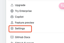 Copilot安装和使用最全教程-5bei.cn大模型教程网