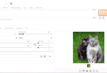 stable-diffusion-webui的逐步部署教程-5bei.cn大模型教程网