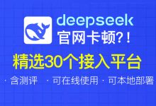 DeepSeek服务器繁忙？实测30个接入平台，28个快速直达！-5bei.cn大模型教程网