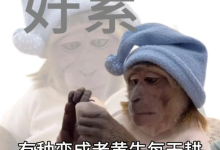 AI写作“靠岸妙写”，10款工具帮你降低AI率-5bei.cn大模型教程网