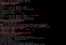 在纯净的虚拟机上安装及使用Stable Diffusion WebUI-5bei.cn大模型教程网