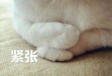 “遇见”专属于自己的女神（Stable Diffusion - LoRa应用解析）-5bei.cn大模型教程网